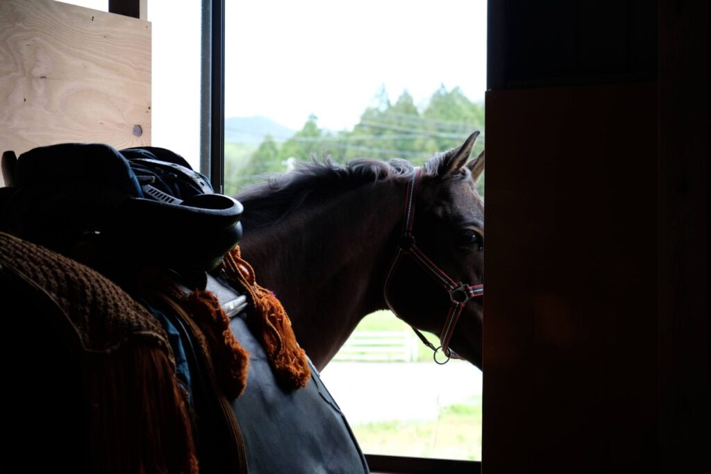相馬野馬追　体験記　出陣ブログ